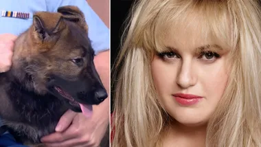Rebel Wilson joins Channel Seven for new show’Pooch Perfect’