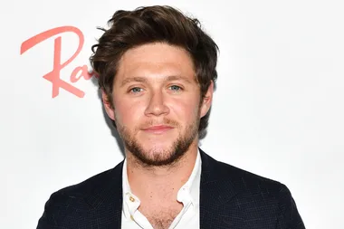 Niall Horan says 1D would have killed each other if they didn’t break up