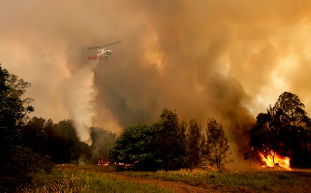 aussie bushfires