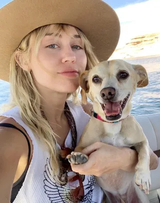 mileycyrus