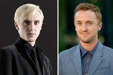 Tom Felton wants to play Draco Malfoy in future ‘Harry Potter’ movie