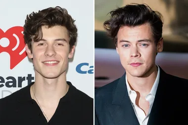Shawn Mendes has the best response to Harry Styles mispronouncing his name