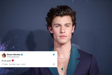 Shawn Mendes cancels Brazil concert due to illness