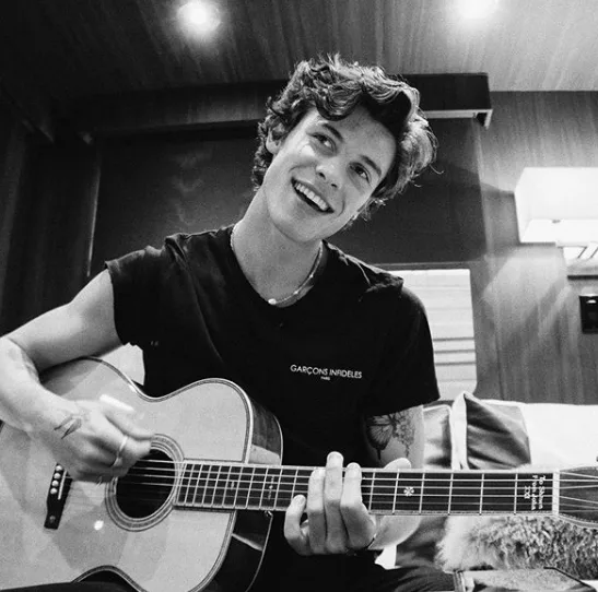 shawnmendes