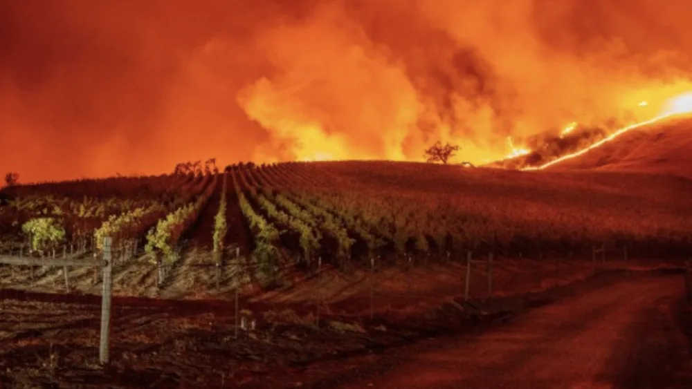 california woldfires