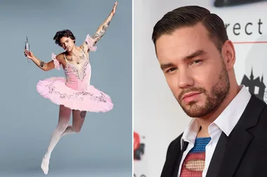 Liam Payne disses Harry Styles’ clothes in a brutal dig