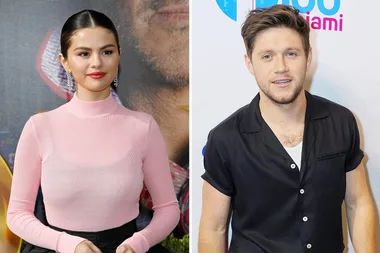 Niall Horan and Selena Gomez are back on like Donkey Kong