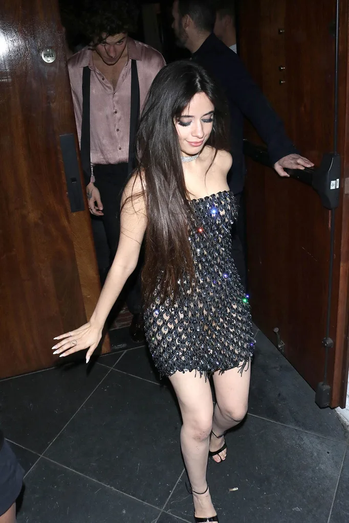 camilashawn