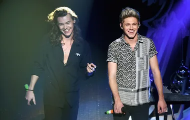 Niall Horan Is ~Rumoured~ To Be Joining Harry Styles On Tour