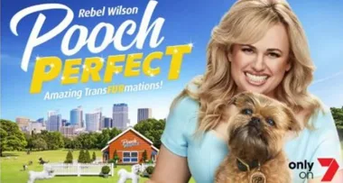 Pooch Perfect: Meet The Dogs