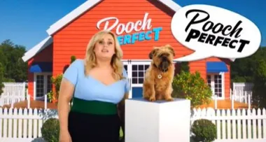 Pooch Perfect: Meet Rebel’s co-host, Russell