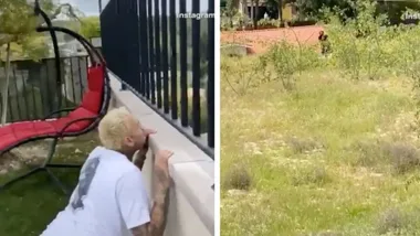 Chris Brown spots obsessed fan trying to sneak onto his property
