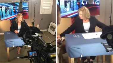 Tracy Grimshaw barefoot as she hosts show from her spare bedroom