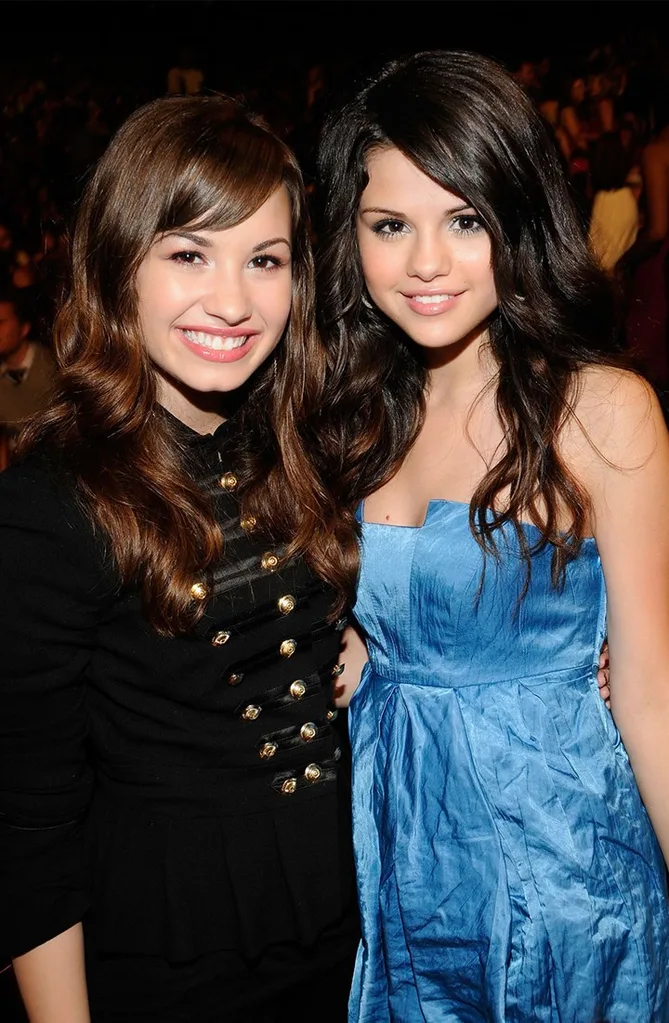 demisel