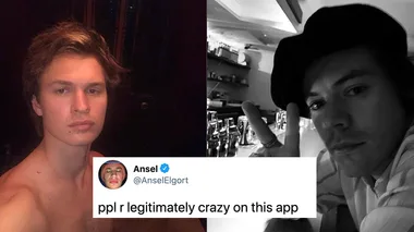 Ansel Elgort just called out a Harry Styles stan… for literally no reason