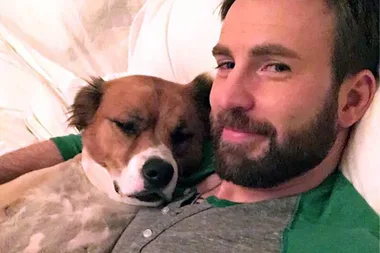 Chris Evans aka Captain America is *finally* on Instagram (just not how we expected)