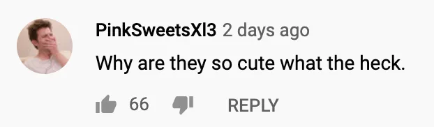 Fans are totally into the Love is Blind couple.