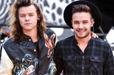 I am losing my mind over Liam Payne’s extremely cringeworthy TikTok about Harry Styles