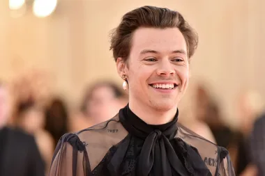 Harry Styles has short hair again and his fans are lapping it up