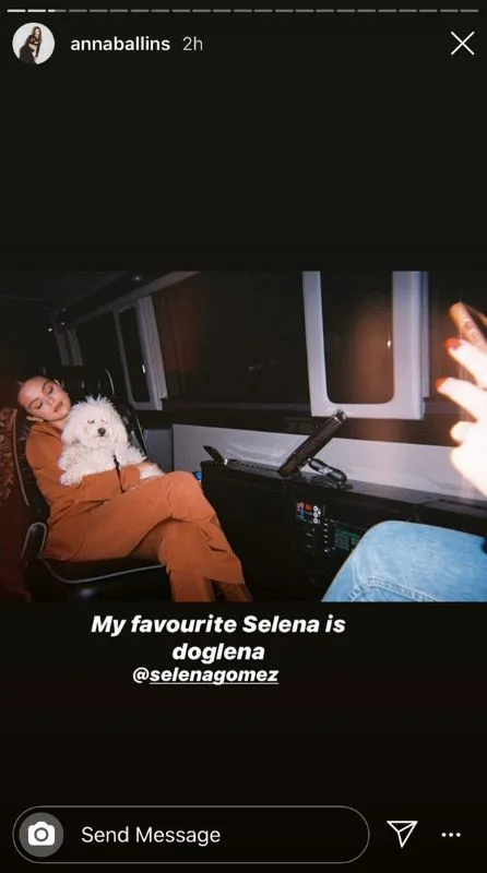 Selena Gomez birthday pictures