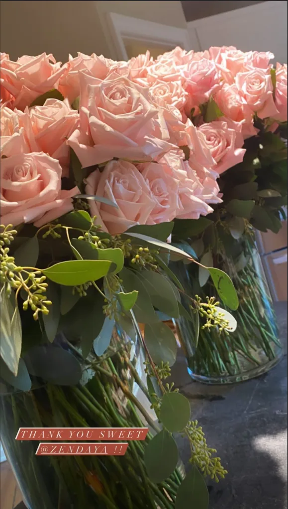 Zendaya Gigi Hadid baby gift