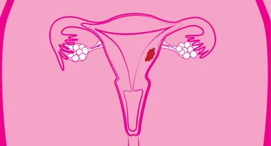 A Handy, Fail-Proof Guide To The Vagina… ‘Cos School Doesn’t Teach You Everything