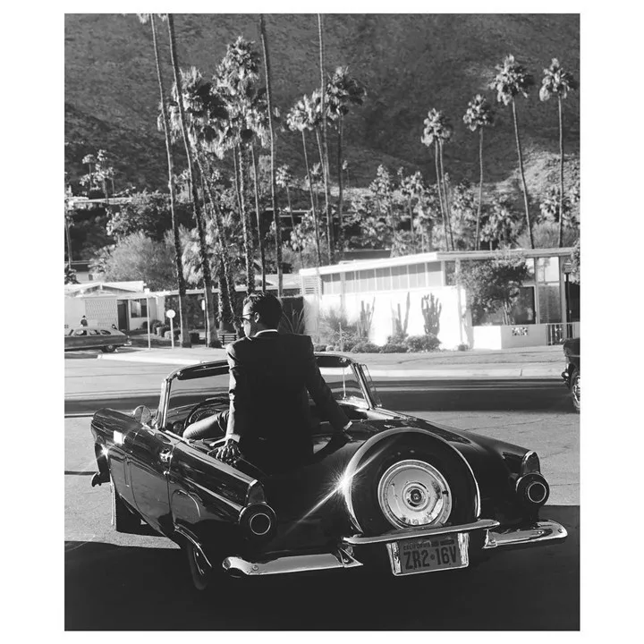 harry-styles-olivia-wilde-tribute