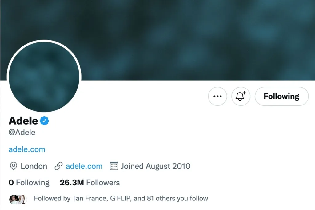 adele-twitter-30