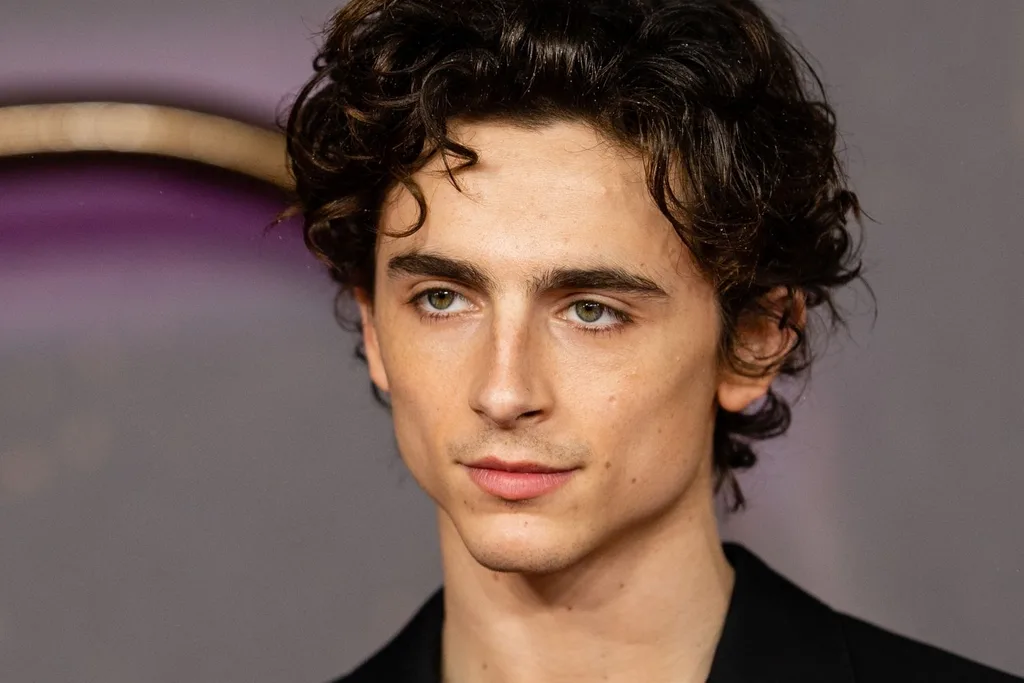 timothee-chalamet