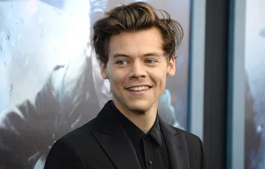 Harry Styles’ new ‘girlfriend’ claims she’s never even met him so this must be real