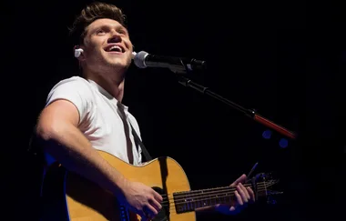 Niall Horan Just Unveiled His Album Artwork And It’s A Friggen’ Masterpiece