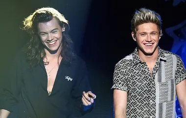 Harry Styles And Niall Horan Just Reunited On The Same Stage And We’re Shaking