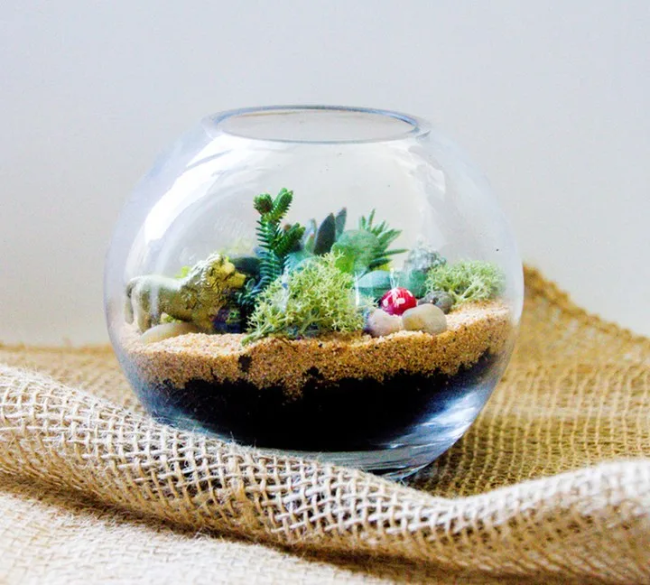 terranium