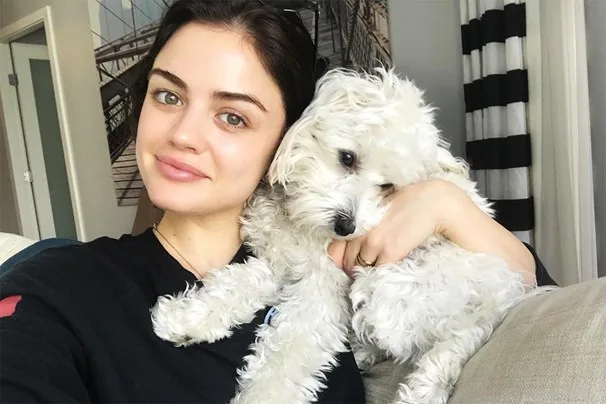 Lucy Hale and dog