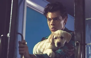 All The Hidden Messages In Harry Styles’ Music Video For “Kiwi”