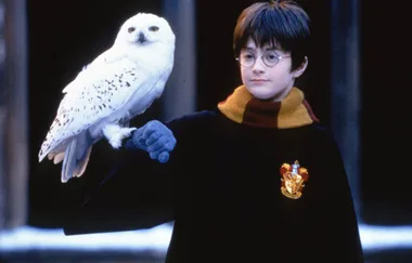 Harry Potter Go Has Been Officially Confirmed By Pokemon Go Creators