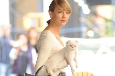 5 of the coolest careers working with animals