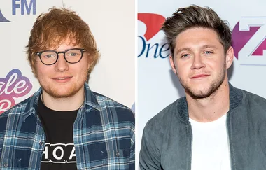 Niall Horan Was In A Near Car Crash With Ed Sheeran