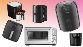 From crispy fries to easy meals, these are the 11 best air fryers