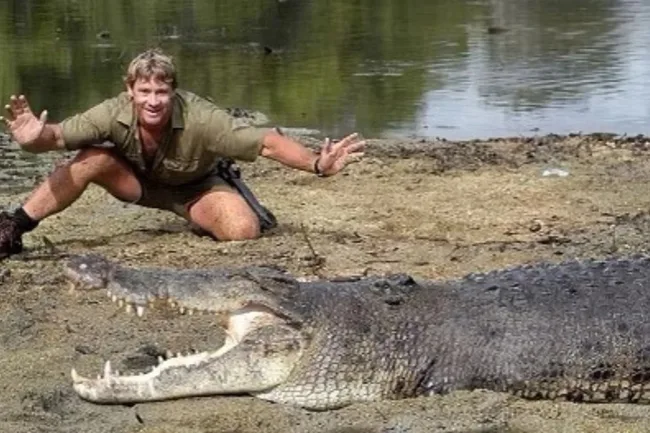 Steve Irwin with Crocodile
