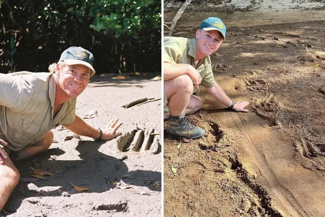 Robert and Steve irwin