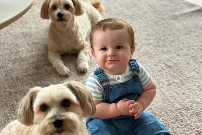 Baby in denim overalls sitting on the floor with two fluffy dogs nearby, all looking at the camera.