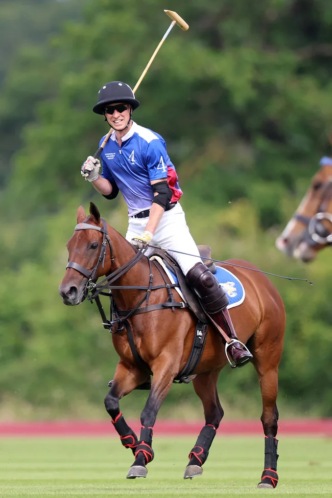 A polo player riding a horse, wearing a blue and red jersey with a helmet, swinging a mallet on a grassy field.