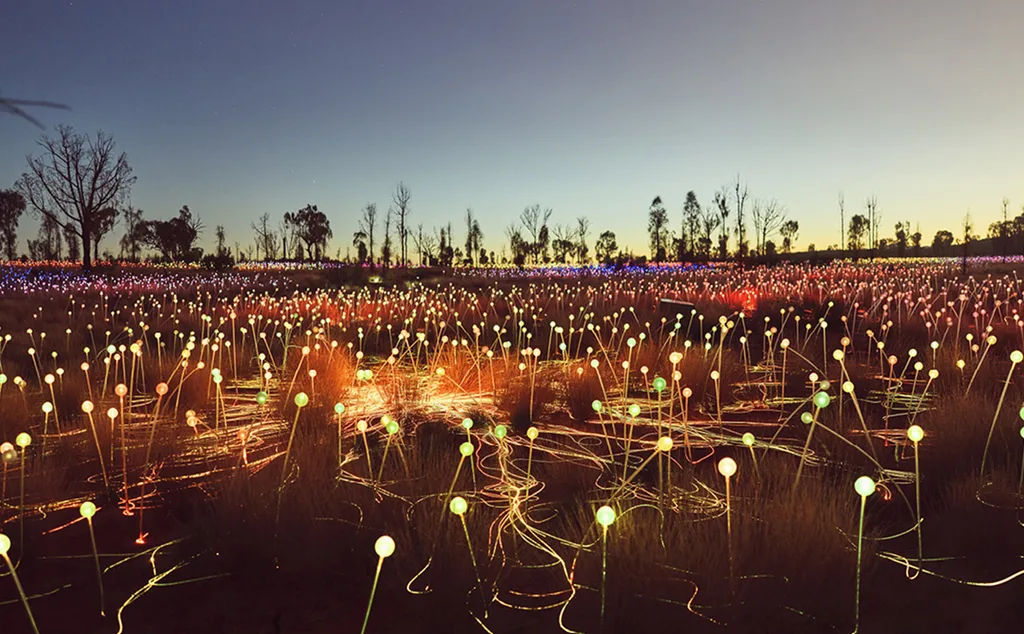 field of lights display at sunset in uluru national park