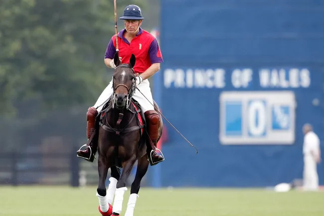 Royal family member playing polo, wearing a red and purple jersey, on a horse with "Prince of Wales" in the background.