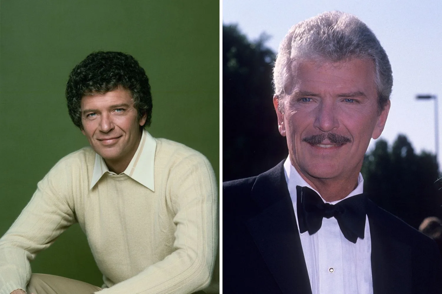 robert reed as mike brady then and now