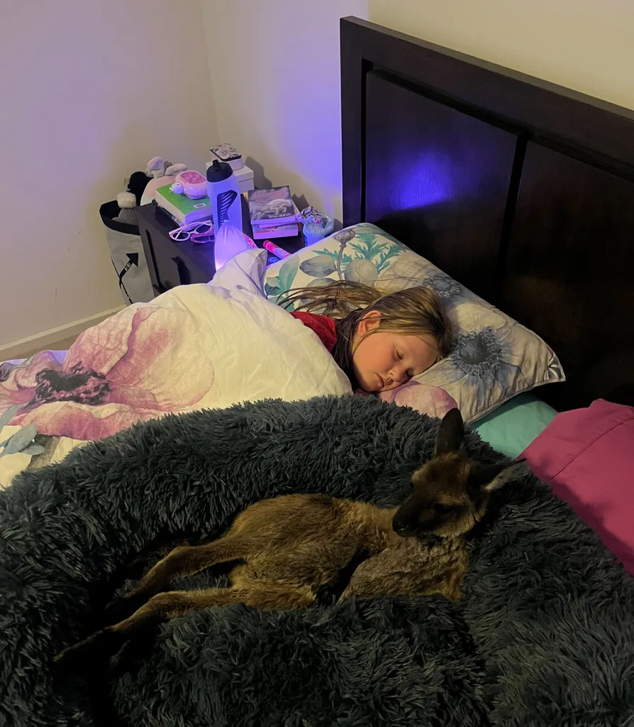 girl in bed with kangaroo