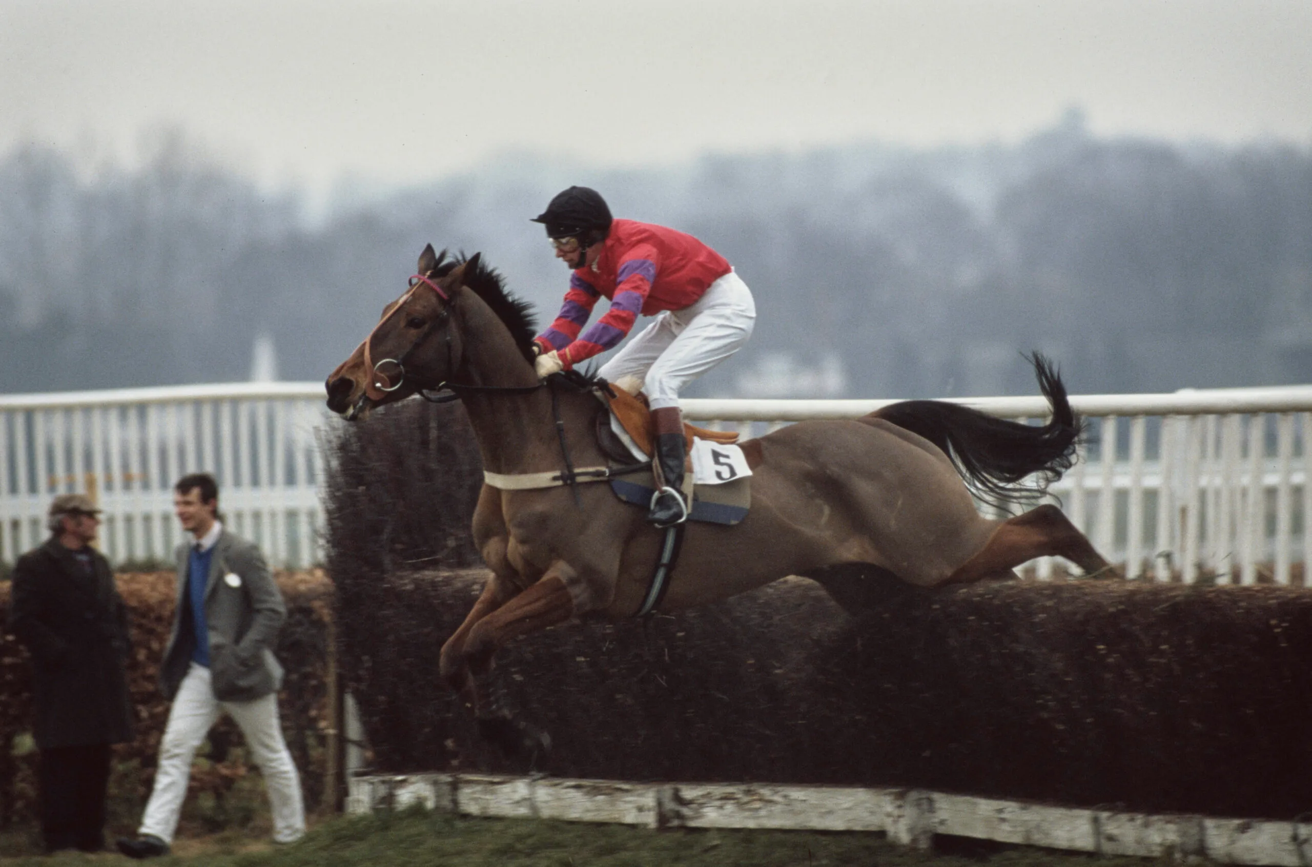 British Royal Anne, Princess Royal, riding her horse Croc Na Cuille at Sandown Park Racecourse in Esher, Surrey, England, 13th March 1987. Anne is wearing the racing colours of her mother, Queen Elizabeth II. (Photo by Tim Graham Photo Library via Getty Images)