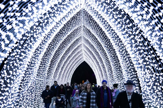 LIGHTSCAPE MELBOURNE Winter Cathedral ROYAL BOTANIC GARDENS