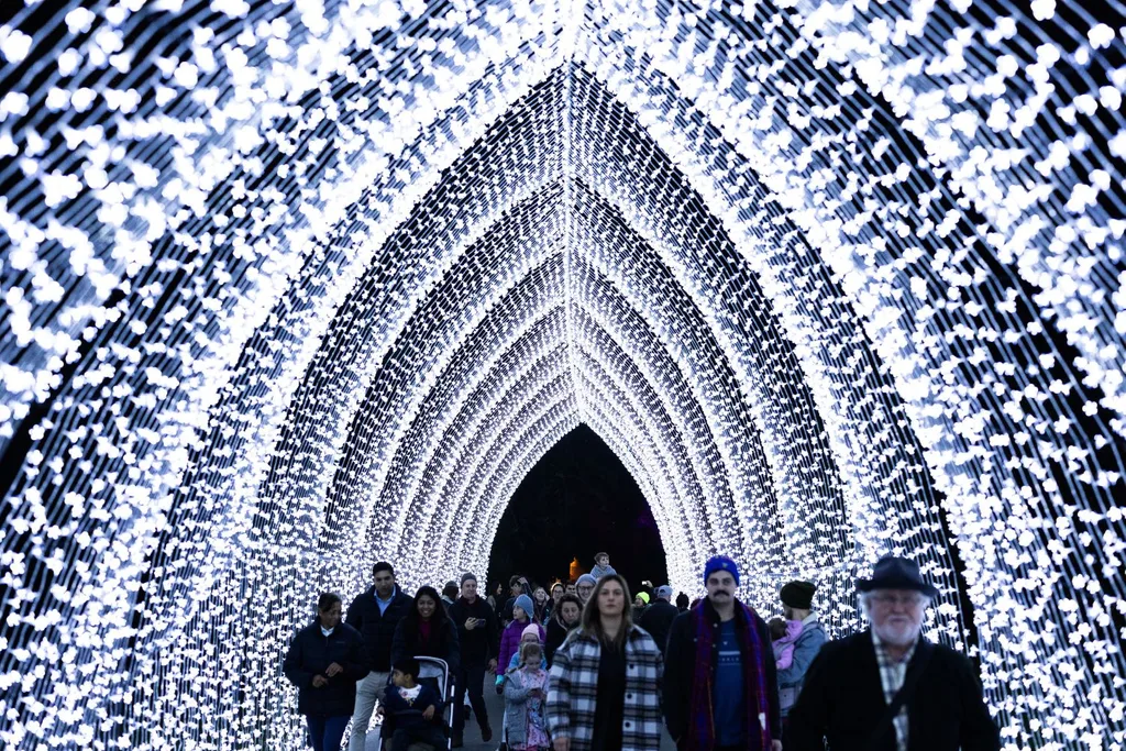 LIGHTSCAPE MELBOURNE Winter Cathedral ROYAL BOTANIC GARDENS